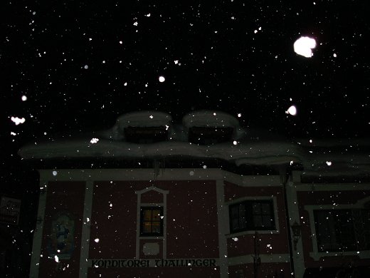 DSC00206