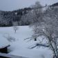 DSC00213