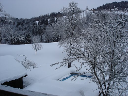 DSC00213