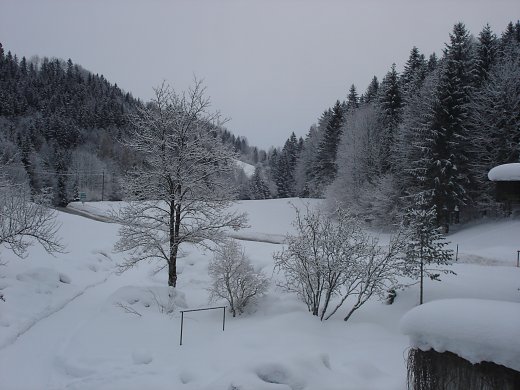 DSC00214