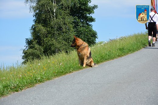 DSC_0029