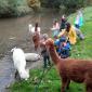 IMG-20221014-WA0038
