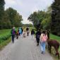 IMG-20221014-WA0039