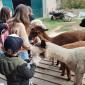 IMG-20221014-WA0042