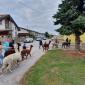 IMG-20221014-WA0047