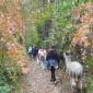 IMG-20221014-WA0054