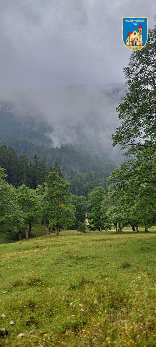 IMG-20240804-WA0037