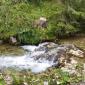 IMG-20240806-WA0020