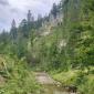 IMG-20240806-WA0021