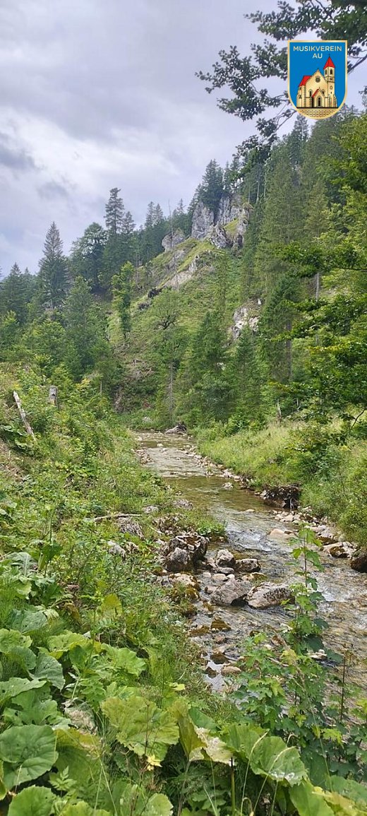 IMG-20240806-WA0021