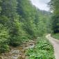 IMG-20240806-WA0023