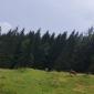 IMG-20240806-WA0025