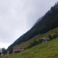 IMG-20240806-WA0026