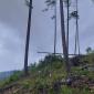 IMG-20240806-WA0030