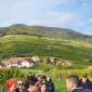 IMG-20241012-WA0053